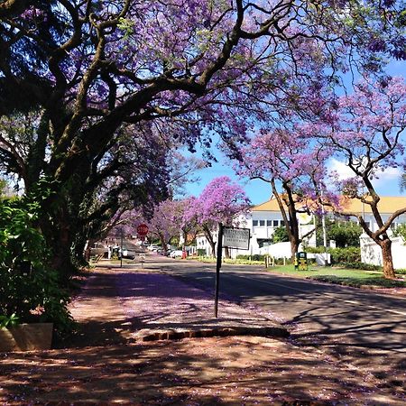 Waterhouse Guest Lodge In Muckleneuk Pretoria-Noord Zewnętrze zdjęcie